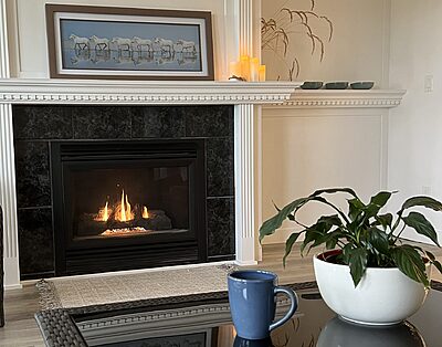 Monthly Furnished Housing for Travel Nurses in Canada 20 Peaceful w/ View 1 bd + Office suite