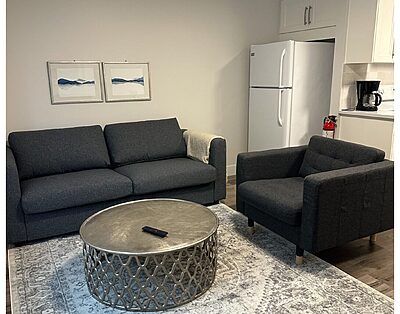 Newly Renovated 1-bedroom suite